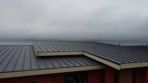 Best Rubber Roofing (EPDM, TPO)  in Wyoming, PA